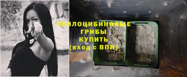мдпв Магас