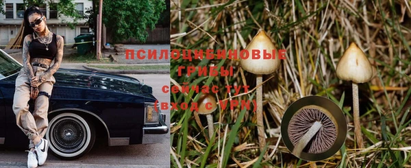 герыч Магадан