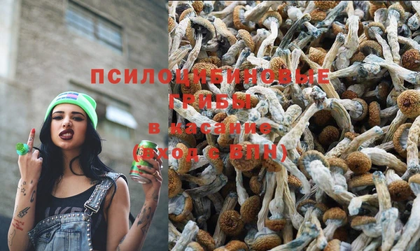 герыч Магадан