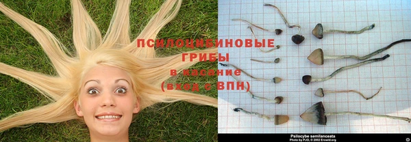 синтетический гашиш Медвежьегорск