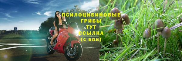 мдпв Магас