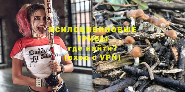 мдпв Магас