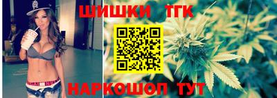 дмт Гай