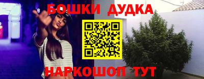 дмт Гай