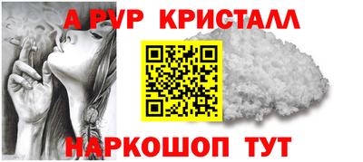 дмт Гай