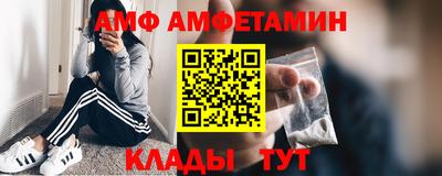 дмт Гай