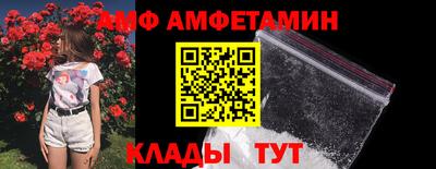 дмт Гай