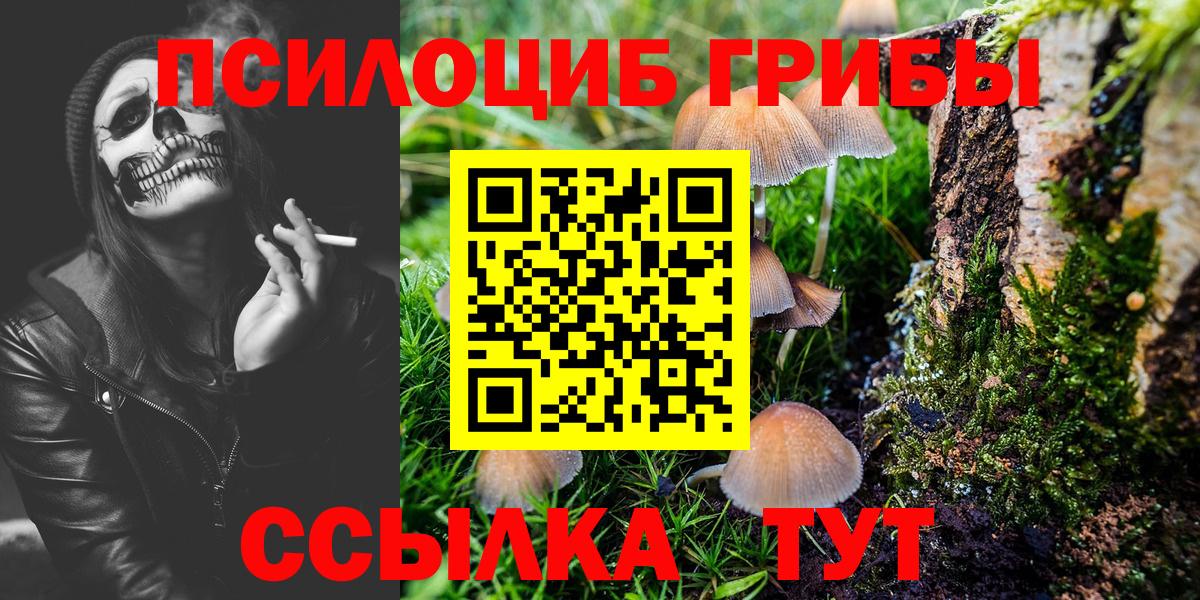 Сертолово  Псилоцибиновые грибы MAGIC MUSHROOMS  Вход с VPN 